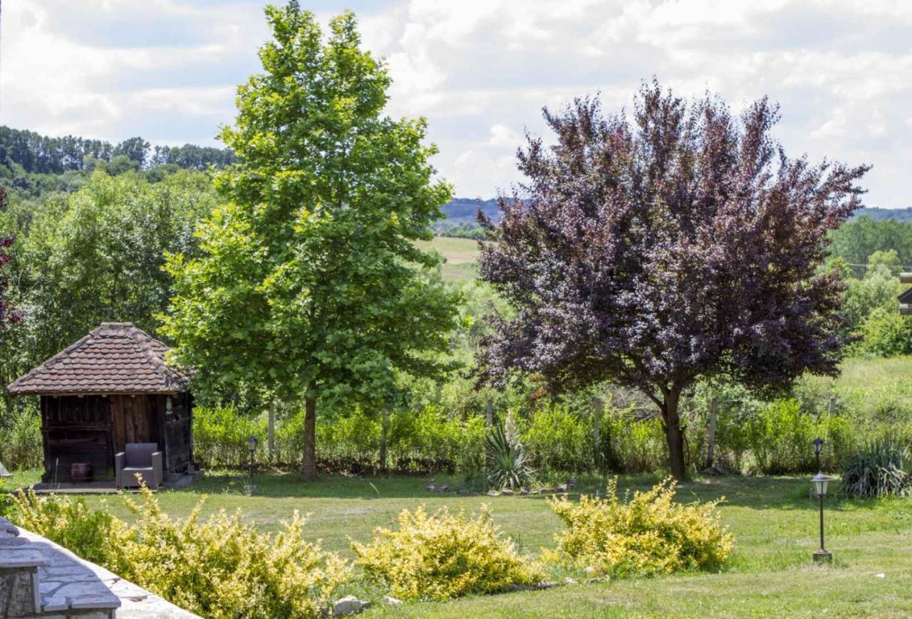 Villa Brvnare Rodjak Sa Sela Mionica Exterior foto